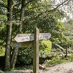 Grizedale *